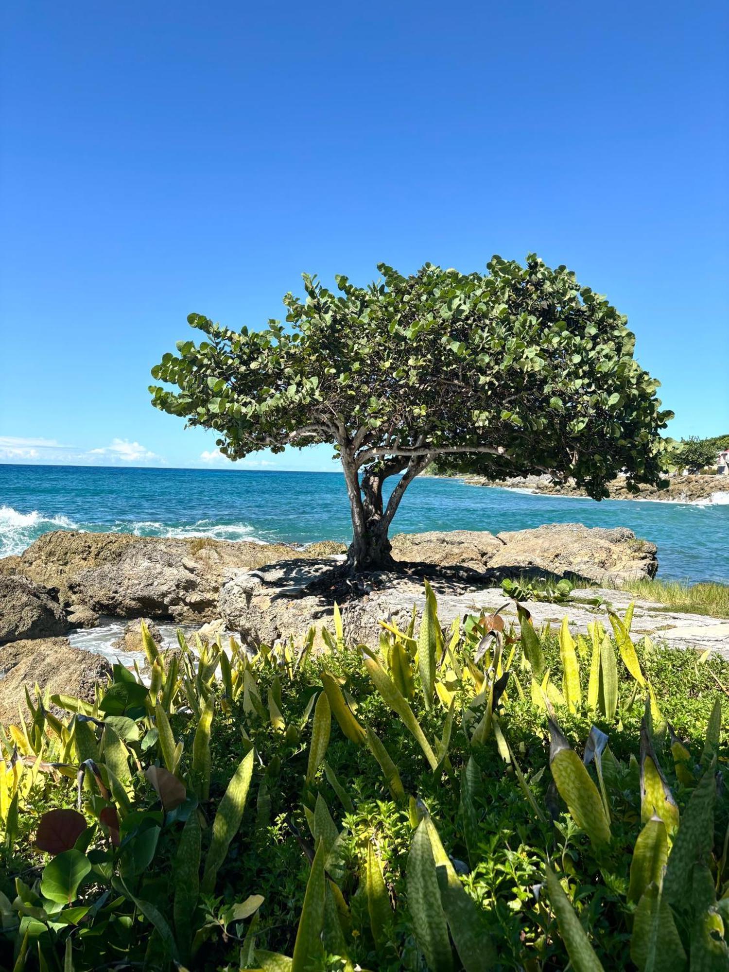 Gite Mabouya - Hamak, Piscine, Jardin Villa Anse-Bertrand Екстериор снимка